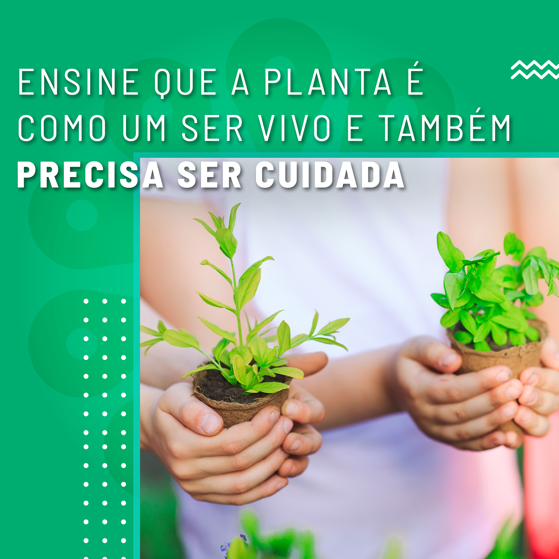 2. feed_carrossel_cuidados_com_as_plantas3